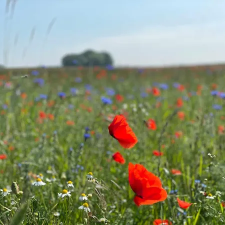 Casa vacanze L18 Ostseeauszeit Blengow